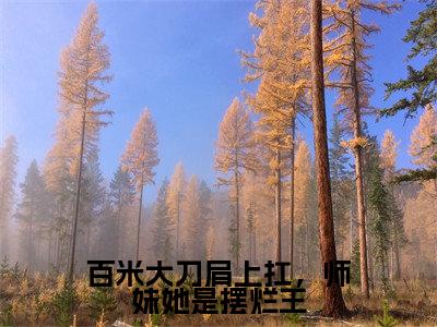 藜沉霁聂白多人推荐-好看的小说百米大刀肩上扛,师妹她是摆烂王完整版免费阅读