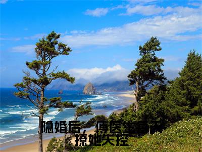 隐婚后，傅医生每天撩她失控（傅延盛从枝）全文免费阅读无弹窗大结局_隐婚后，傅医生每天撩她失控全文阅读完整版_笔趣阁（傅延盛从枝）