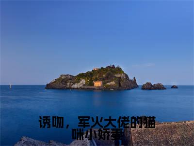 诱吻，军火大佬的猫咪小娇妻全文免费阅读-（许诺诺牧宁池）小说全文免费阅读正版无弹窗