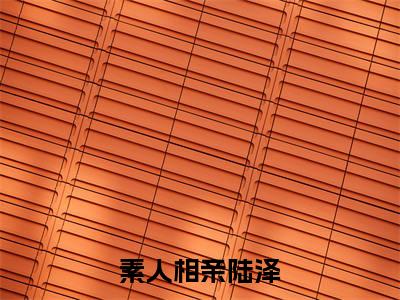 好书推荐小说素人相亲陆泽(陆泽)-素人相亲陆泽全文免费阅读大结局