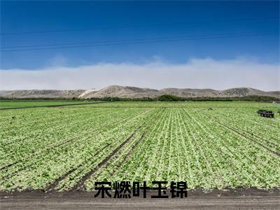 小说名字是：宋燃叶玉锦小说免费阅读无弹窗，小说名字是：叶玉锦宋燃的小说在线阅读无删减