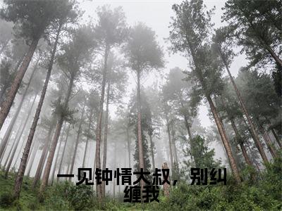 一见钟情大叔,别纠缠我全集小说完整版大结局_梁浅汪泽深完结版在线阅读