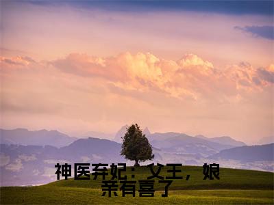 神医弃妃：父王，娘亲有喜了小说最新章节（风璃宸沈青鸾）全文免费阅读无弹窗大结局_风璃宸沈青鸾免费阅读（神医弃妃：父王，娘亲有喜了小说）