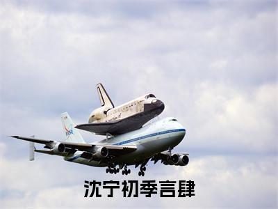 季言肆沈宁初(沈宁初季言肆)全文免费阅读无弹窗大结局_季言肆沈宁初最新章节列表_笔趣阁