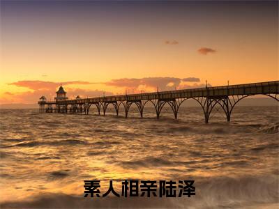 陆泽（素人相亲陆泽）全文免费阅读无弹窗大结局_（陆泽阅读无弹窗）素人相亲陆泽最新章节列表