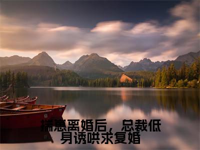唐禹墨林舒童（揣崽离婚后，总裁低身诱哄求复婚）全文免费阅读无弹窗大结局_唐禹墨林舒童在线阅读（揣崽离婚后，总裁低身诱哄求复婚）