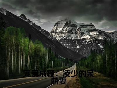 上官蓝冰南辰凌（宠爱成瘾：凌少的呆萌妻）全文免费阅读无弹窗大结局_（上官蓝冰南辰凌全文阅读）宠爱成瘾：凌少的呆萌妻无弹窗最新章节列表