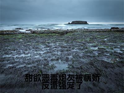 时奚(甜欲恶毒炮灰被病娇反派强宠了)小说全文无删减版在线阅读_甜欲恶毒炮灰被病娇反派强宠了(时奚无弹窗)_笔趣阁