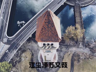 江尘泽苏又葭小说全文免费阅读无弹窗大结局_（江尘泽苏又葭全文免费阅读）江尘泽苏又葭最新章节列表笔趣阁