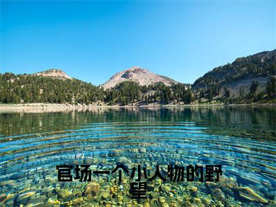 官场一个小人物的野望杜玉峰阮玉玲小说免费阅读-官场一个小人物的野望抖音新书热荐