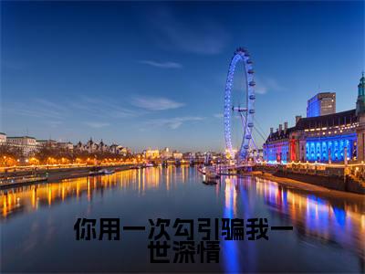 你用一次勾引骗我一世深情精彩小说（洪谨姚宫月）在哪免费看-小说（洪谨姚宫月）全文完整版免费阅读