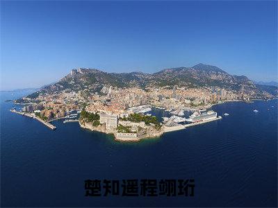 楚知遥程翊珩在线阅读（楚知遥程翊珩）全文免费阅读无弹窗大结局_楚知遥程翊珩最新章节列表笔趣阁（楚知遥程翊珩）