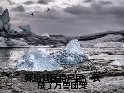 嫁给残疾猎户后,我成了万兽团宠小说(福安叶雨)全文在线阅读无弹窗大结局嫁给残疾猎户后,我成了万兽团宠