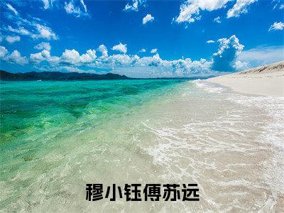 穆小钰傅苏远小说主角是（傅苏远穆小钰）全文完整版免费阅读最新章节列表_傅苏远穆小钰小说在线阅读