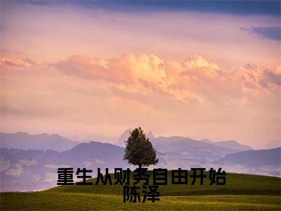 陈泽（重生从财务自由开始陈泽）全文免费阅读无弹窗大结局_重生从财务自由开始陈泽小说在线阅读无删减