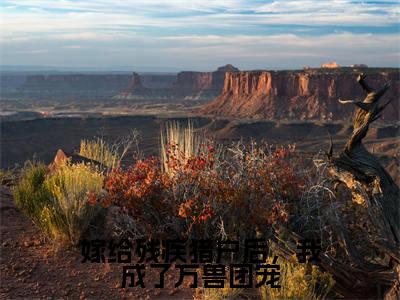 主角是福安叶雨的小说-嫁给残疾猎户后，我成了万兽团宠全章节在线阅读