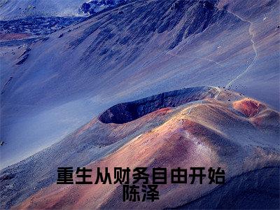 重生从财务自由开始陈泽（陈泽）全文免费阅读无弹窗大结局_重生从财务自由开始陈泽免费阅读无弹窗最新章节列表