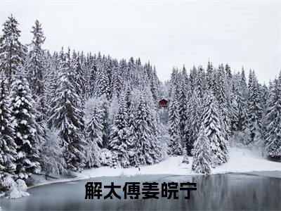 (姜皖宁解太傅)全文免费阅读无弹窗大结局_解太傅姜皖宁完整版最新阅读_笔趣阁(姜皖宁解太傅)