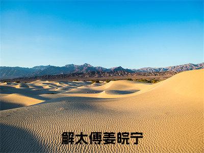 解太傅姜皖宁(姜皖宁解太傅)全文免费阅读无弹窗大结局_(解太傅姜皖宁)最新章节列表_姜皖宁解太傅