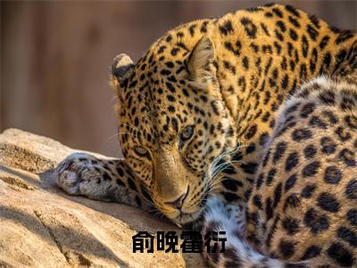 俞晚霍衍(霍衍俞晚)小说全文免费阅读无弹窗大结局_霍衍俞晚全文免费阅读