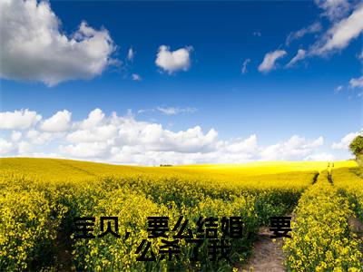 阮微傅湛（宝贝，要么结婚，要么杀了我）全文免费阅读无弹窗大结局_宝贝，要么结婚，要么杀了我最新章节列表_笔趣阁（阮微傅湛）