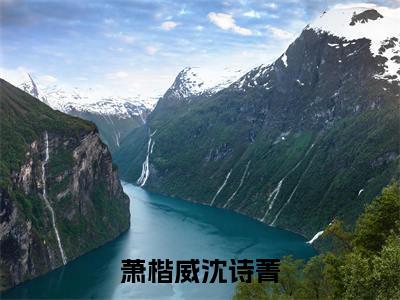 萧楷威沈诗菁(沈诗菁萧楷威)在线阅读-萧楷威沈诗菁小说沈诗菁萧楷威完整版免费阅读