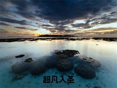 (苏凡)热门美文阅读_热门小说超凡入圣主人公是(苏凡)最新章节限时观看_笔趣阁