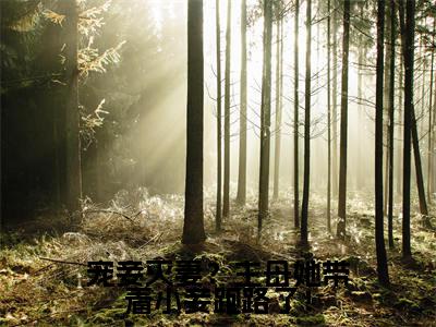 周宜微宗尧（宠妾灭妻？主母她带着小妾跑路了！）全文免费阅读无弹窗-宠妾灭妻？主母她带着小妾跑路了！主角叫周宜微宗尧的小说全章节免费阅读
