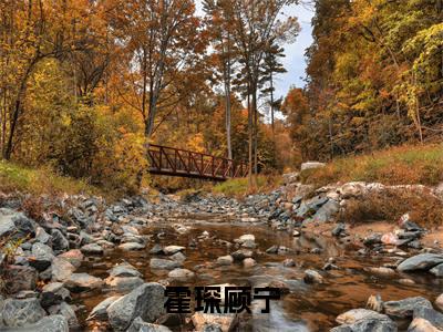 顾宁霍琛（霍琛顾宁）全网首发小说-小说霍琛顾宁（顾宁霍琛）完整版全文在线赏析