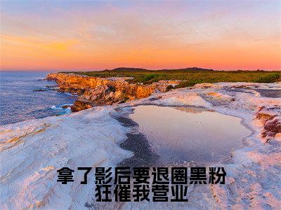 (拿了影后要退圈黑粉狂催我营业)全文免费阅读无弹窗大结局_(林岁见傅识舟)章节列表_笔趣阁