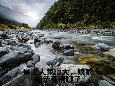 黎悄凤听玺(皇上人菜瘾大,娘娘嗓子被撩哑了)小说全文无删减-黎悄凤听玺小说免费阅读大结局(免费+全集)