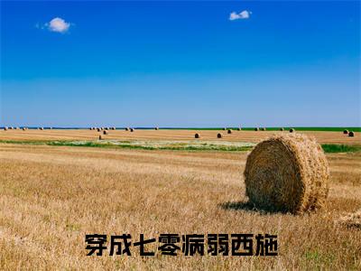 温卿禾(穿成七零病弱西施)全文免费阅读无弹窗大结局_穿成七零病弱西施(温卿禾无弹窗)_笔趣阁