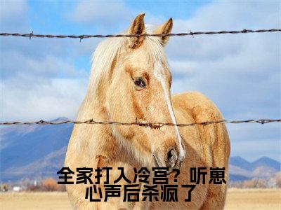 全家打入冷宫?听崽心声后杀疯了(楚夭夭)全文免费阅读无弹窗大结局_(楚夭夭)小说免费阅读最新章节列表
