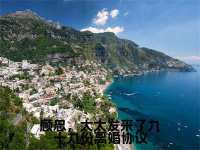 姜栀小说叫什么名字（顾总，太太发来了九十九份离婚协议）完整版大结局-姜栀小说在线阅读