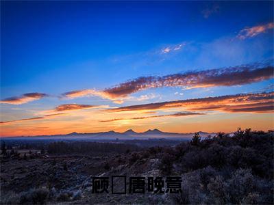 顾燚唐晚意（顾燚唐晚意）全文免费阅读无弹窗-顾燚唐晚意完整版全文在线赏析