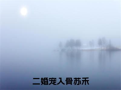 苏禾(二婚宠入骨苏禾)全文免费阅读无弹窗大结局_二婚宠入骨苏禾最新章节列表_笔趣阁