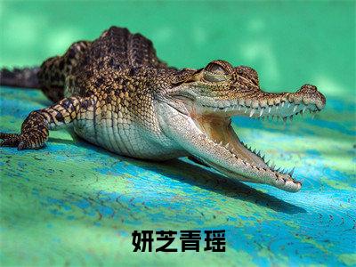 （青瑶妍芝）热门美文阅读_热门小说妍芝青瑶主人公是（青瑶妍芝）最新章节限时观看_笔趣阁