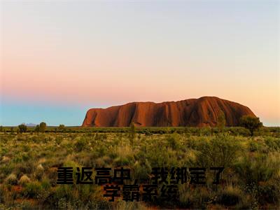 主角为周岁的小说(重返高中,我绑定了学霸系统)无弹窗大结局-最新小说重返高中,我绑定了学霸系统全文阅读最新章节列表_笔趣阁