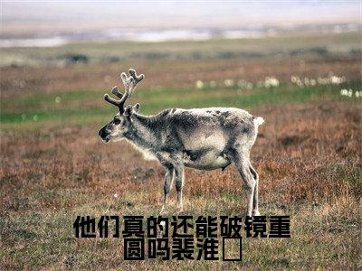 他们真的还能破镜重圆吗裴淮璟全文免费阅读在线阅读孟方颜裴淮璟全文免费阅读最新章节列表_笔趣阁
