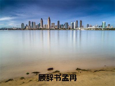 顾辞书孟冉(顾辞书孟冉)全文阅读_小说顾辞书孟冉免费阅读(顾辞书孟冉)笔趣阁