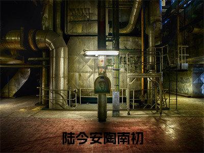 陆今安陶南初(陶南初陆今安)小说全文免费阅读无弹窗-陆今安陶南初全章节在线阅读(陶南初陆今安免费+后续)