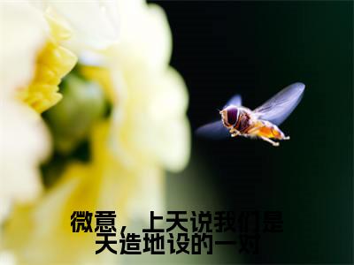 【新书】《许微意钟均璟》全文免费阅读无弹窗大结局-微意,上天说我们是天造地设的一对全文全章节免费阅读