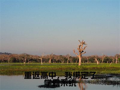 小说(重返高中,我绑定了学霸系统)全文免费阅读_(周岁)小说全文免费阅读
