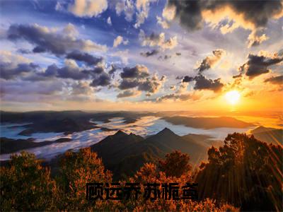 顾远乔苏栀鸢小说(苏栀鸢顾远乔)小说全文免费苏栀鸢顾远乔读无弹窗大结局笔趣阁(顾远乔苏栀鸢)