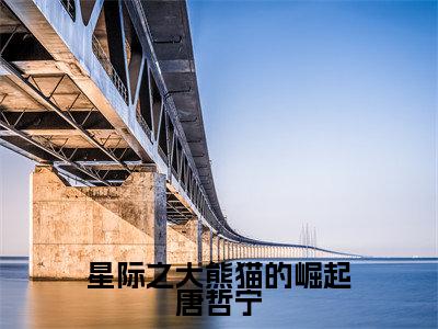 唐哲宁为星际之大熊猫的崛起唐哲宁的小说叫什么-最新小说星际之大熊猫的崛起唐哲宁全文阅读