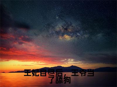 王妃自尽后，王爷当了舔狗免费小说沈昭云慕容湛全文完整版阅读