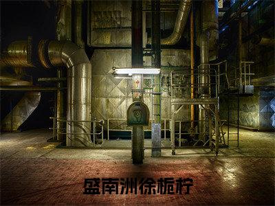 盛南洲徐栀柠美文欣赏完整版,徐栀柠盛南洲精彩章节在线阅读