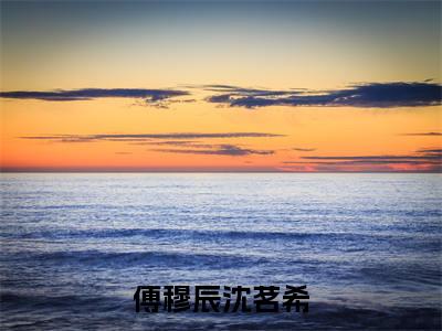主角叫沈茗希傅穆辰的小说-（傅穆辰沈茗希）沈茗希傅穆辰全文无弹窗完整版阅读