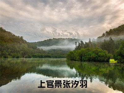 张汐羽上官景精选热门小说上官景张汐羽已完结全集大结局
