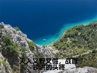宋安安战砚承(夫人又野又倔,战首领哄的头疼)全文免费阅读无弹窗大结局_宋安安战砚承全文免费阅读